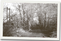 Llwybr Ystwyth