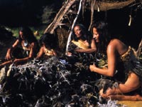 It wasn't only large species such as the moa that disappeared