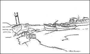The sketch.