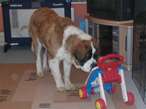 Harvey