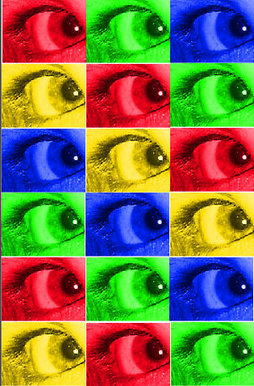 Fish eye