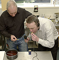 Tasting not cooking is what we're good at