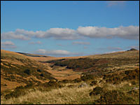 Wistmans Wood