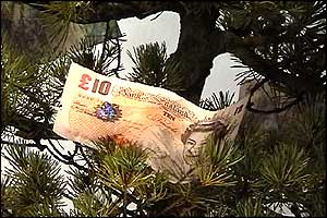 Money on trees