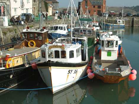 Boats in the harbour