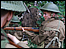 Picture The Past, two short films shot by Earlham High School students, Norwich.