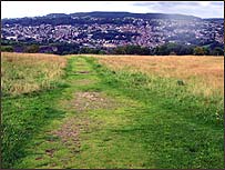 Pastures