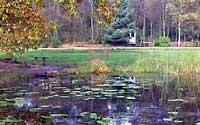 Kelling water.