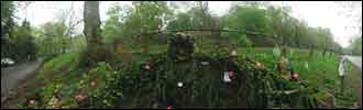 Evendine spring