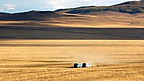 Introducing Mongolian Steppes