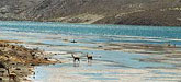 Lago Chungara