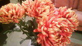 Flower zoom