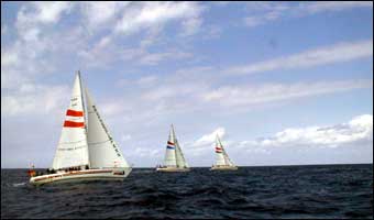 yachts
