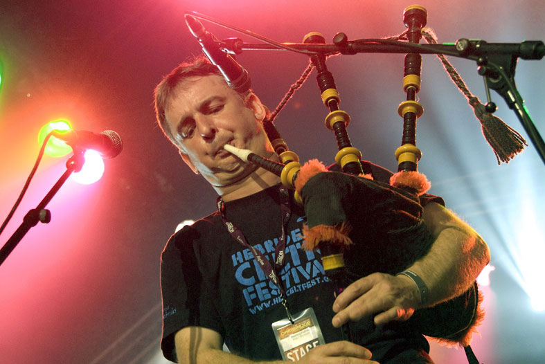 Peatbog Faeries