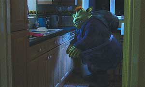 Fungus in the Whites' kitchen (episode one)