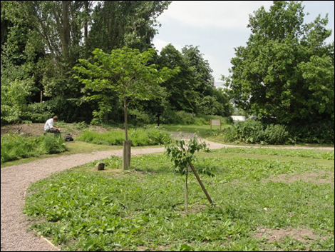 First 07 Leominster Breathing Spaces site