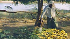 Self-Sufficiency in Somalia from Long Term Aid