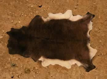 Soay sheep skin