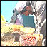 جشن نوروز