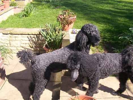 Trudie and Jethro