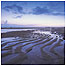 Strathbeg c/o RSPB Images and Andy  Hays