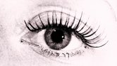 If Eyes Be The...