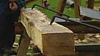 Tudor Wood