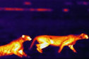 Hot spots 2 Hot spots 2