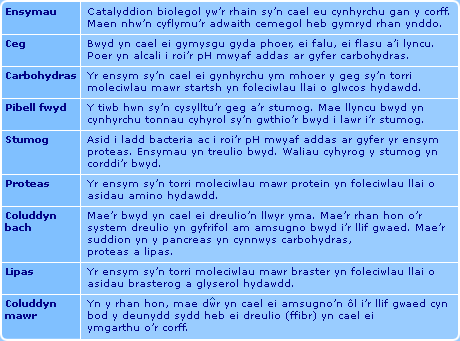 Bwyd a maethiad