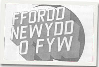 Ffordd Newydd o Fyw