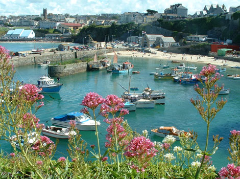 Newquay harbour
