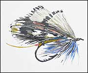 'Fly'