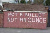 Image of republican graffiti, stating "Not a bullet, not an ounce"