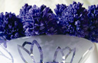 Hyacinths