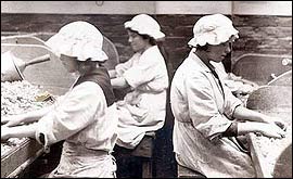 Rowntrees girls picking gum c1900