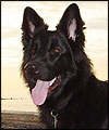 Molly in Fleetwood by Phil Rawlinson