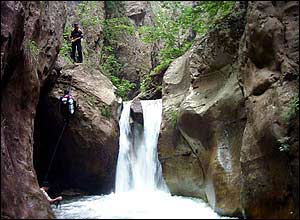 تنگه