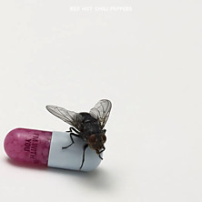 Review of I’m With You