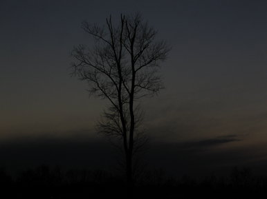 Shades of Nature