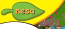 nesa