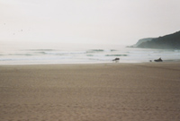  Lagoa