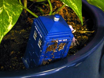 dwm12
