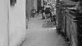 Dark Alley Dark Alley