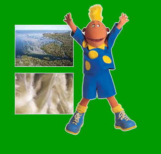 Jake and rivers rushing into the sea