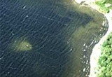 Image of the lighter areas on loch bed