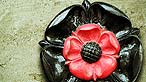 The Tudor Rose