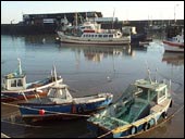 Fishing dock