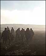 walkers