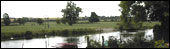 River bank