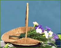 insert carnations